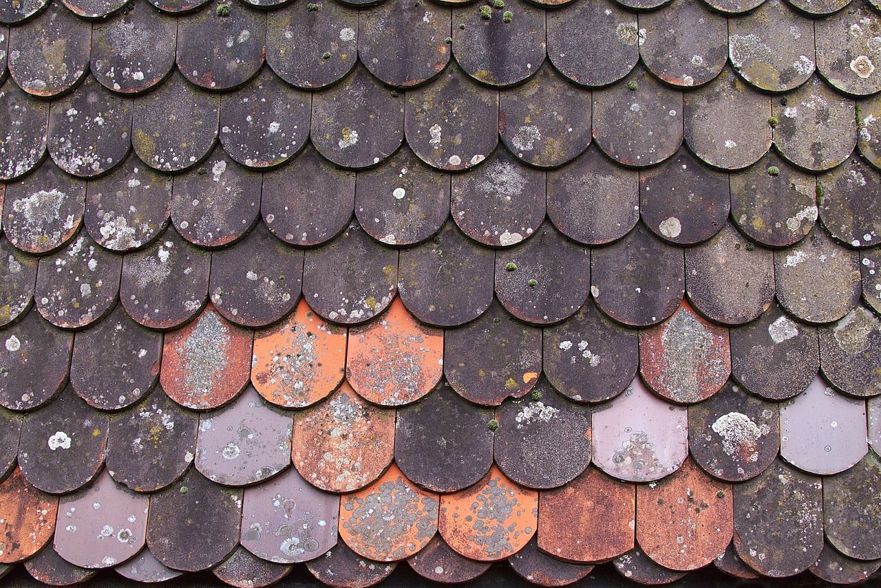 changer tuiles toiture : conseils pour réussir votre rénovation remplacement de tuiles de toit : service rapide et de qualité pour protéger votre maison contre les intempéries et améliorer son esthétisme.