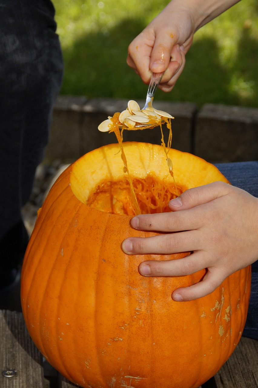 pumpkin, halloween, fall, orange, vegetables, hollow out, 31 october, lid, carving pumpkin, carve pumpkin ghost, halloweenkuerbis, pumpkin ghost, autumn decoration, diy pumpkin ghost, to carve, october, jack olantern, to empty, interior, child, trick or treat, carving pumpkin, carving pumpkin, carving pumpkin, carving pumpkin, carving pumpkin