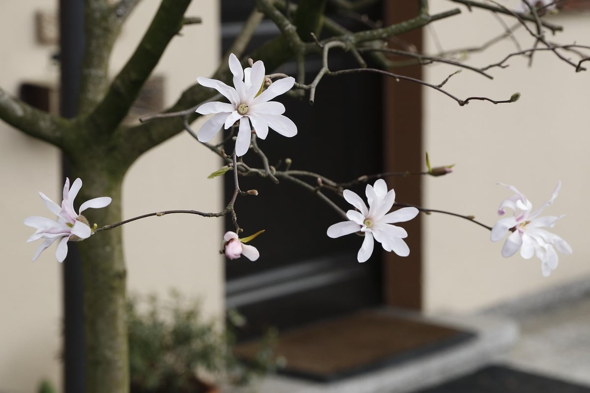 Poser une barre de seuil de porte