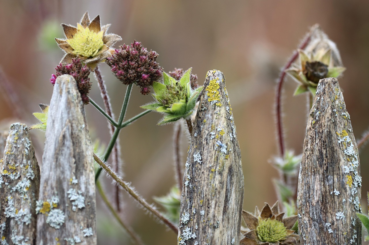 découvrez comment créer un jardin facile d'entretien, idéal pour profiter de la nature sans passer des heures à jardiner. astuces et conseils pour un espace vert durable et pratique.