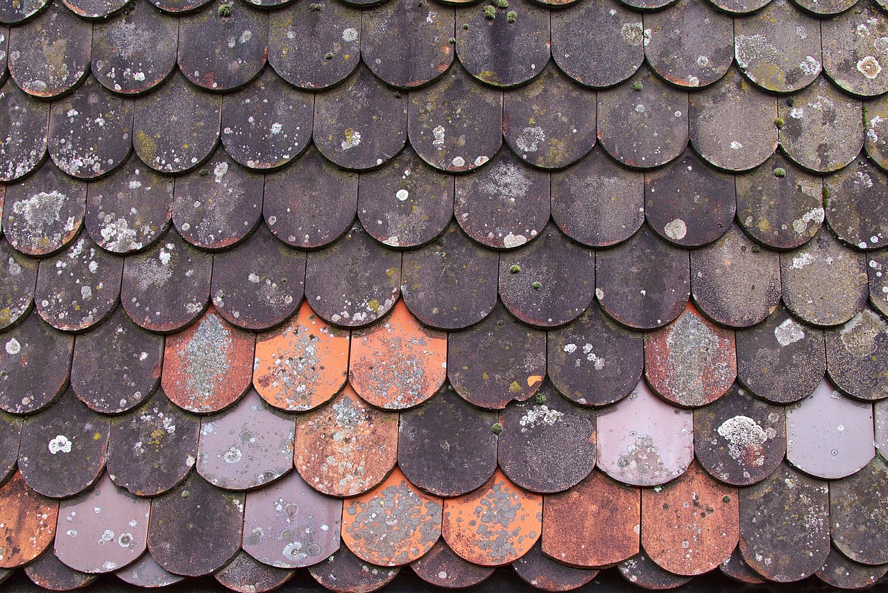 remplacement de tuiles de toit : service rapide et de qualité pour protéger votre maison contre les intempéries et améliorer son esthétisme.